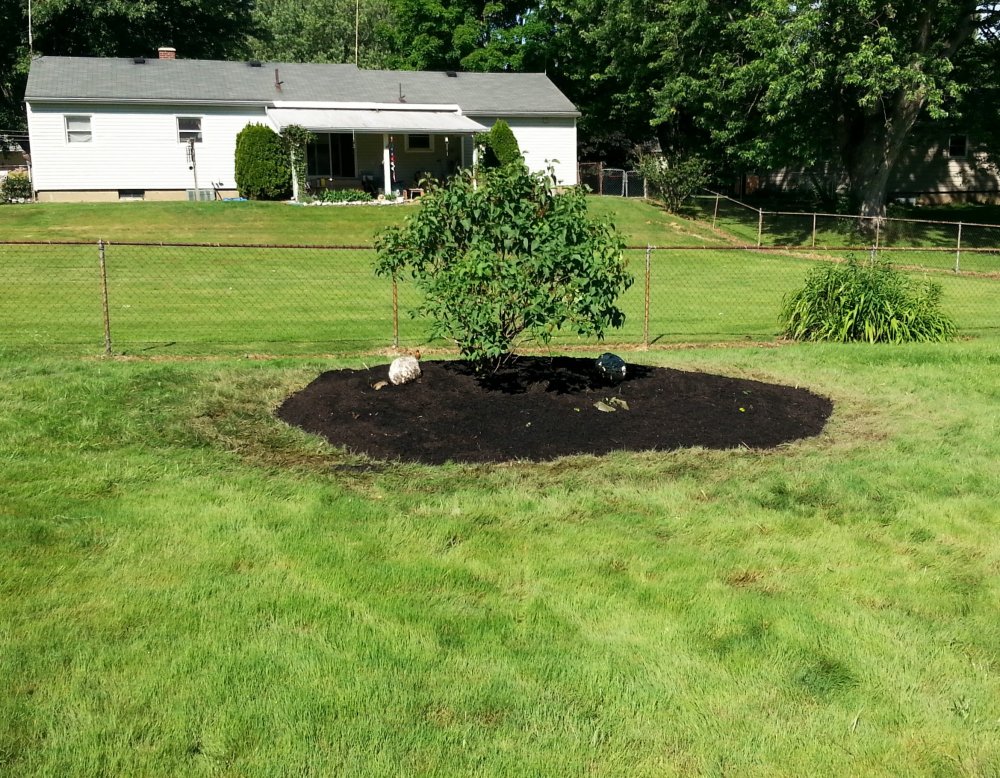 Landscaping In Erie Pa Boss, Boss Landscaping Erie Pa